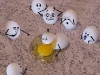 eggs