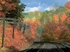 NATURE_jpg