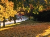 PARK_JPG