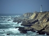 calcoast09_jpg