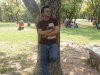 vin-tree